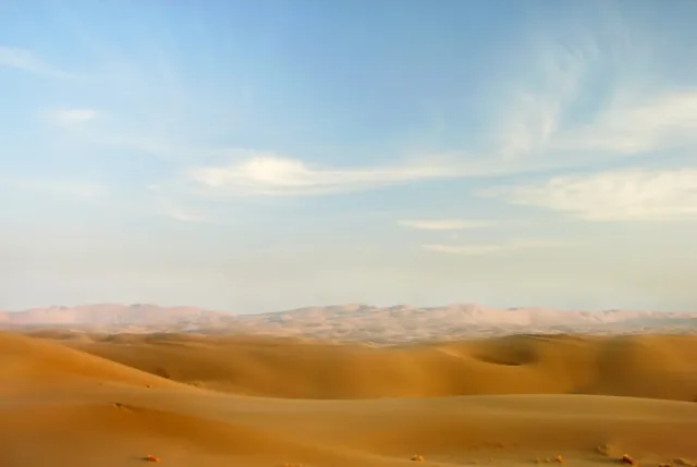Desert Safari Guide: What to Wear, When to Go and What to Expect