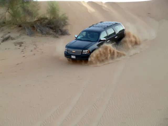 Evening Desert Safari with BBQ Dinner