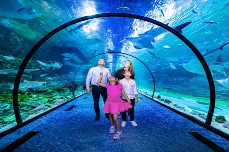 The National Aquarium Abu Dhabi