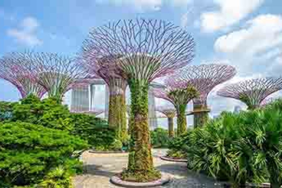 Gardens by the Bay