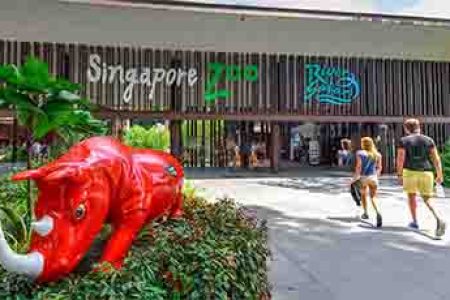 Singapore Zoo with Tram Ride