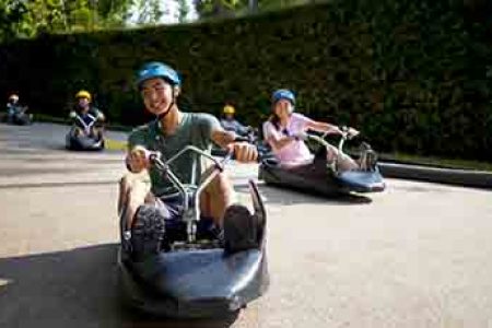 Skyline Luge Singapore